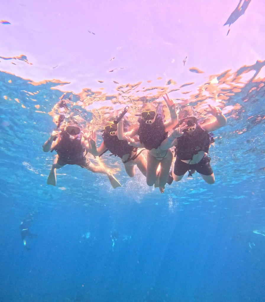 Waktu Terbaik Snorkeling di Nusa Penida: Panduan Lengkap Musim Manta Ray